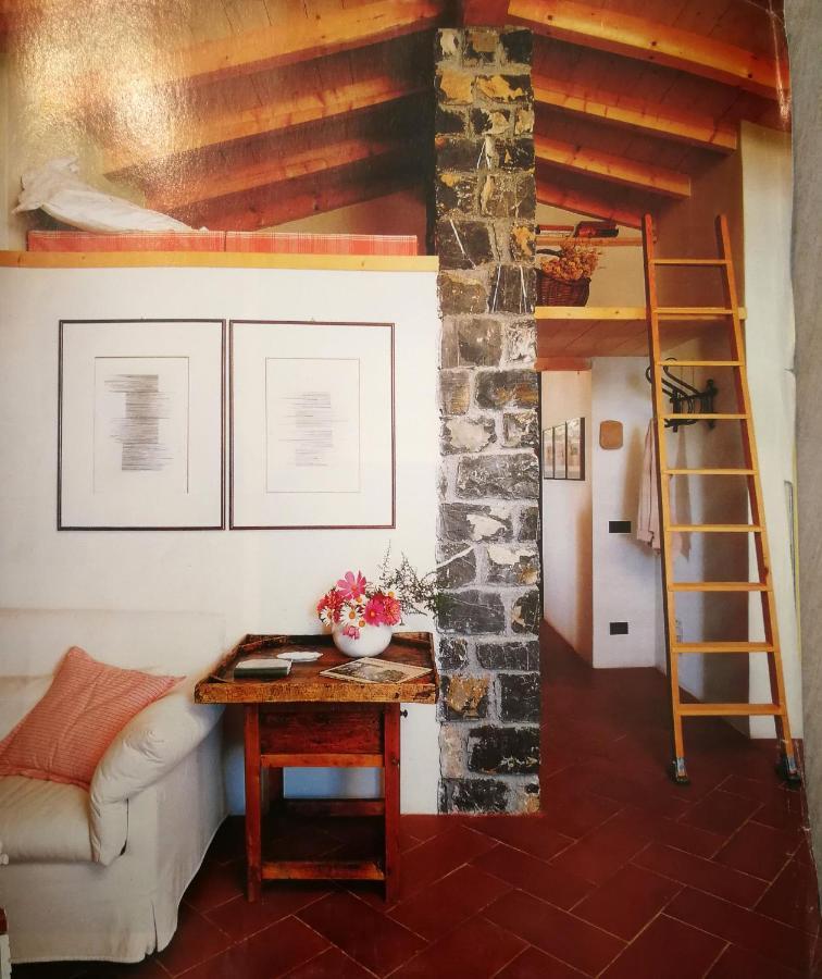 Cottage La Casa Del Pittore Reggimonti 외부 사진