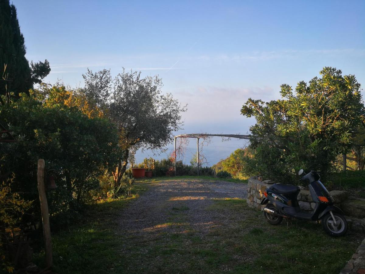 Cottage La Casa Del Pittore Reggimonti 외부 사진