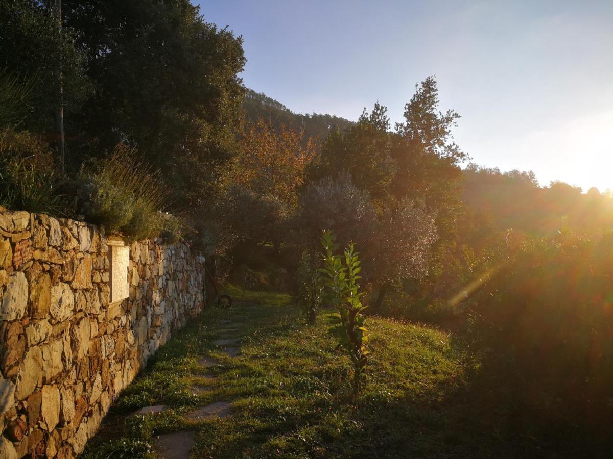 Cottage La Casa Del Pittore Reggimonti 외부 사진