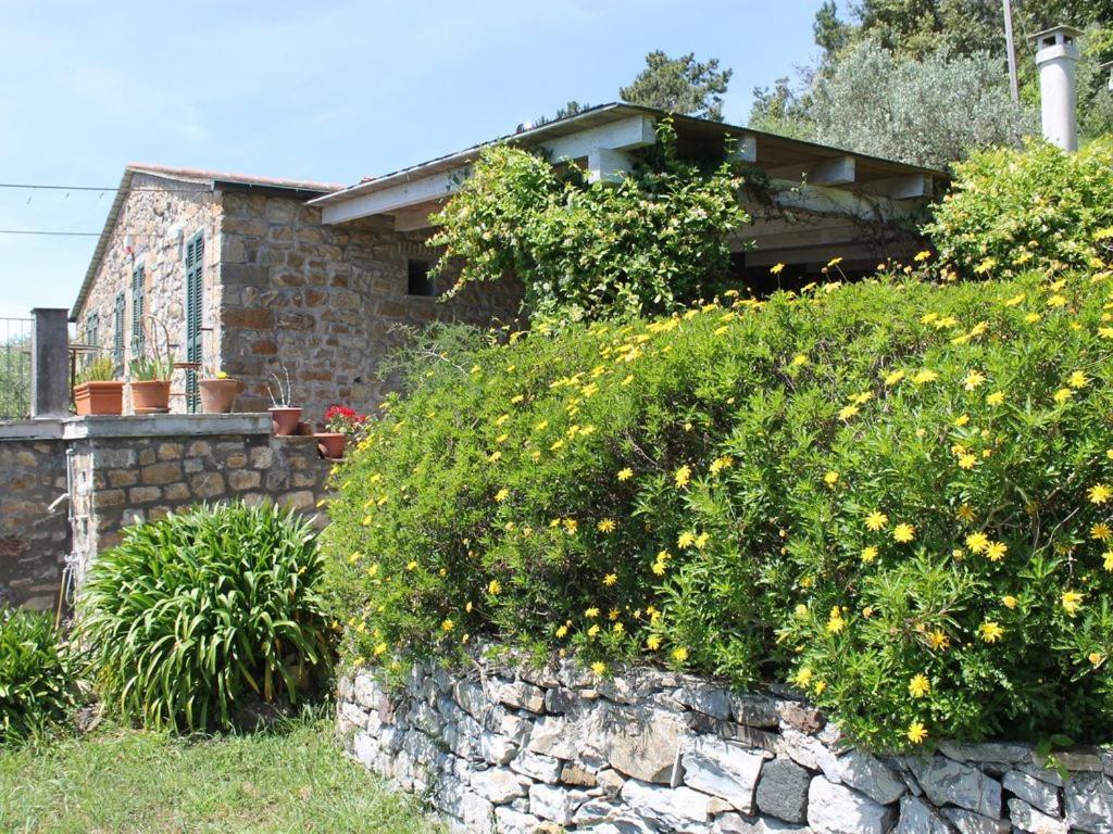 Cottage La Casa Del Pittore Reggimonti 외부 사진